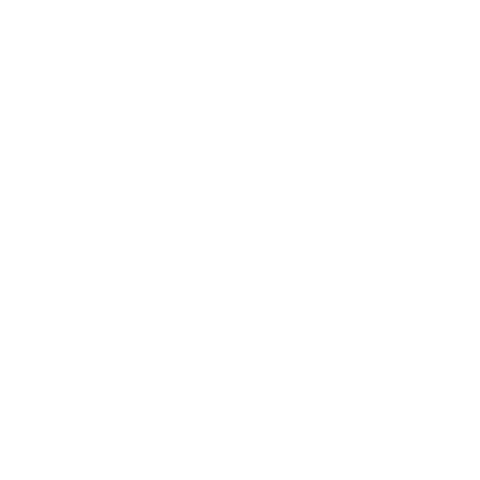 Gauss Moto